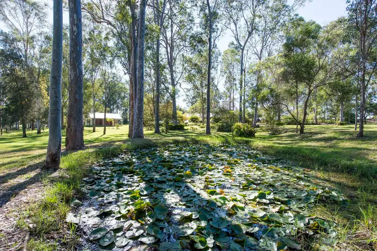 Fourth view of Homely house listing, 24 Hillview Drive, Waterview Heights NSW 2460