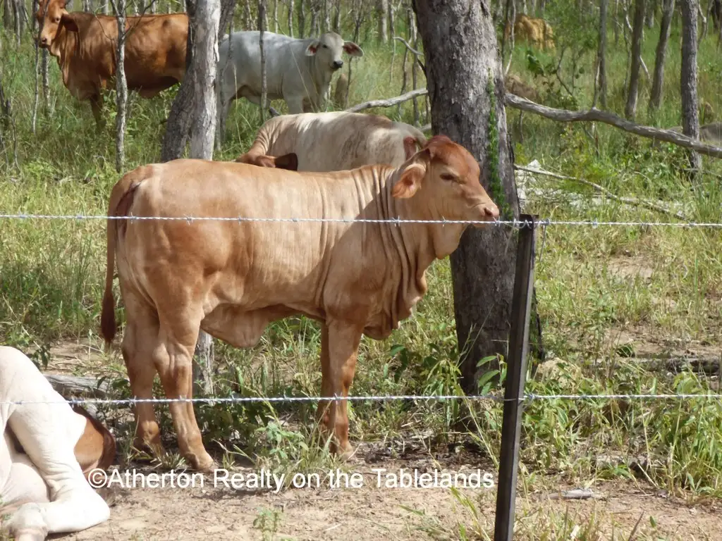 Main view of Homely rural property listing, Address available on request