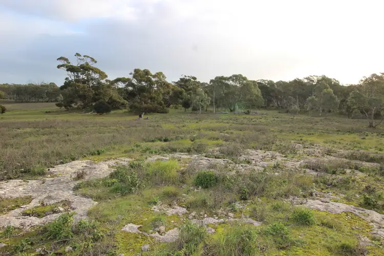 Fourth view of Homely land listing, Lot 107 Wallace Court, Coulta SA 5607