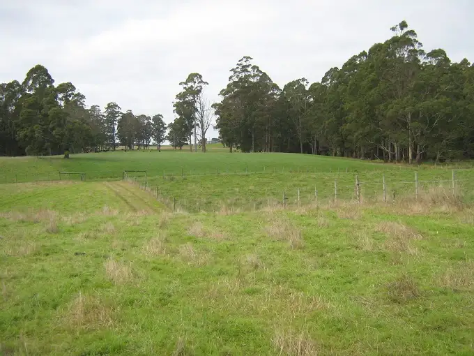 Seventh view of Homely rural property listing, 50 Douglas Road, Kindred TAS 7310