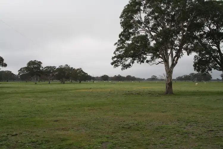 Second view of Homely rural property listing, 2097 Lucindale Road, Naracoorte SA 5271