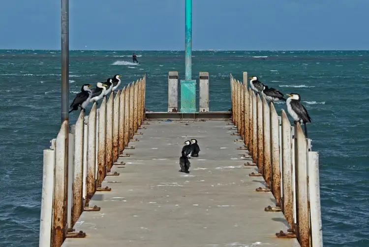 Fourth view of Homely house listing, 270 Safety Bay Road, Safety Bay WA 6169