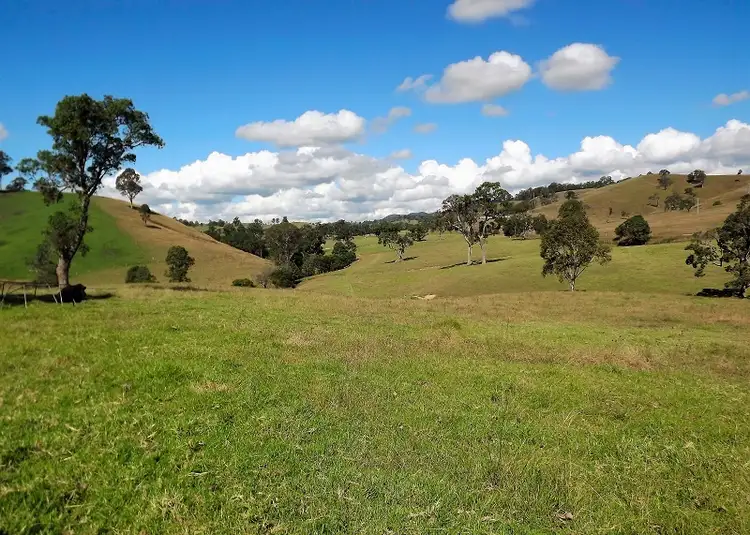 Third view of Homely rural property listing, 137 Wallanbah Road, Gloucester NSW 2422