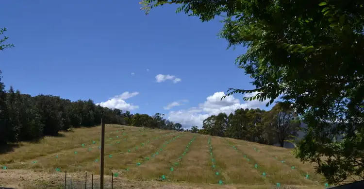 Seventh view of Homely rural property listing, 13 Snowys Track, Benambra VIC 3900