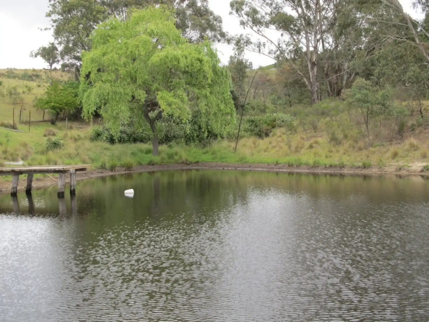 Main view of Homely rural property listing, 1424 Bocoble Road, Mudgee NSW 2850