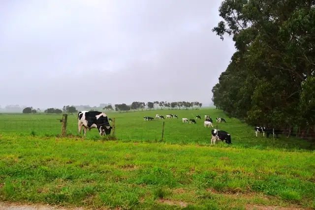 Main view of Homely land listing, Lot 25 Cram Road, Glencoe SA 5291