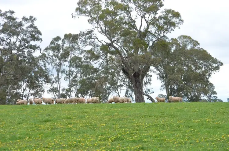 Sixth view of Homely rural property listing, Sec 218 Comaum School Road, Penola SA 5277