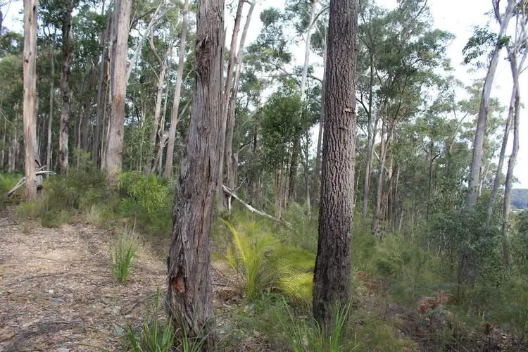 Third view of Homely land listing, Lot 19 Old Nelligen Road, Nelligen NSW 2536