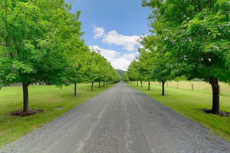 Second view of Homely rural property listing, Lago Somerset Lane, Fitzroy Falls NSW 2577
