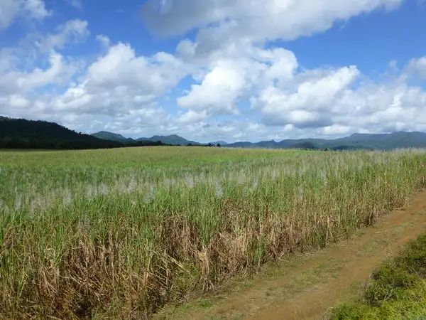 Second view of Homely rural property listing, Address available on request