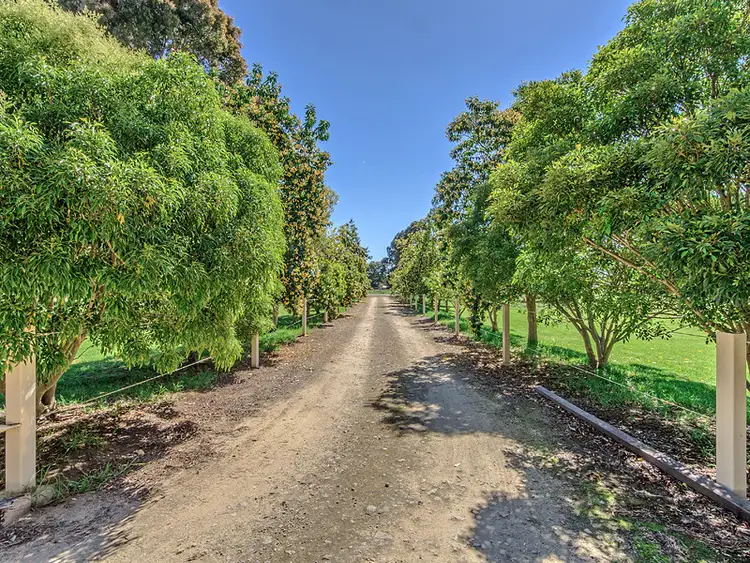 Third view of Homely house listing, 19 Bernborough way, Darling Downs WA 6122