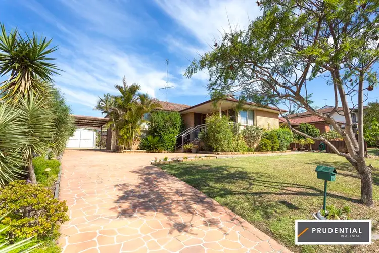 19 Tallowwood Avenue, Casula NSW 2170