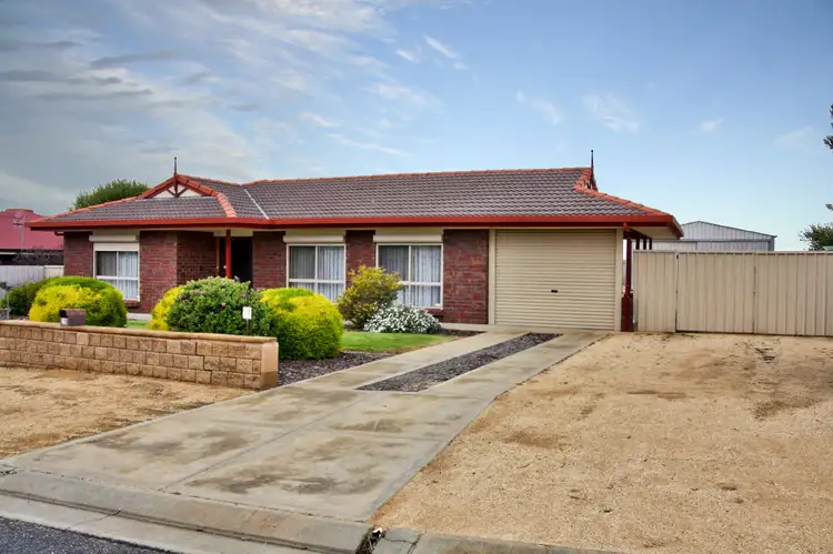 Main view of Homely house listing, 19 Klingberg Street, Loxton SA 5333