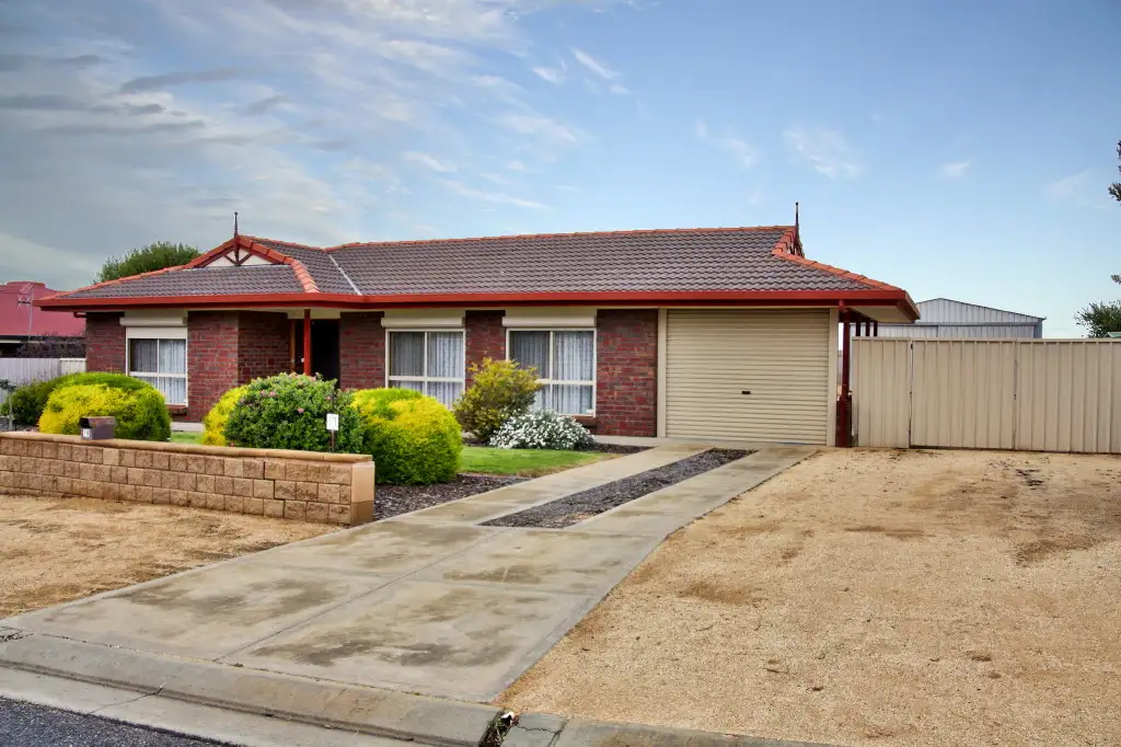 Main view of Homely house listing, 19 Klingberg Street, Loxton SA 5333