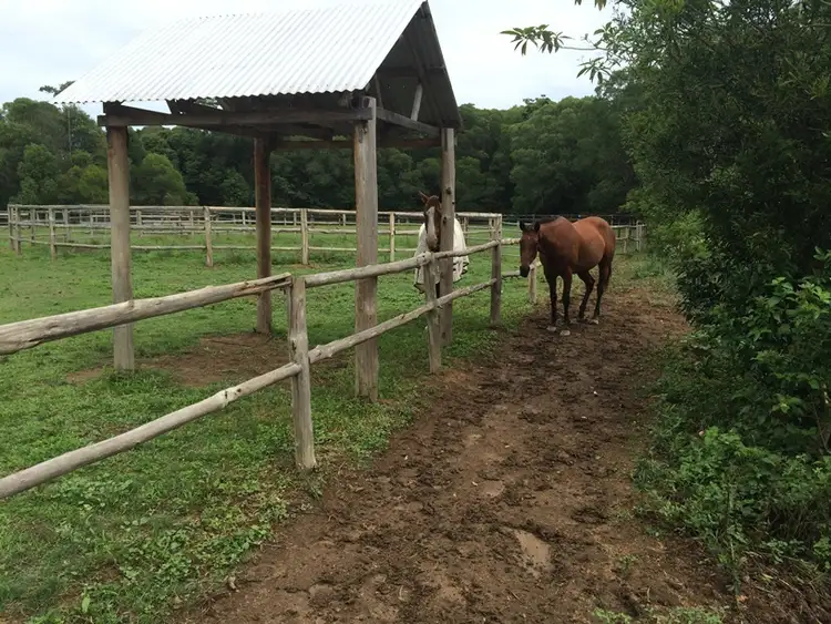 Seventh view of Homely land listing, 447 Middle Creek Road, Federal QLD 4568