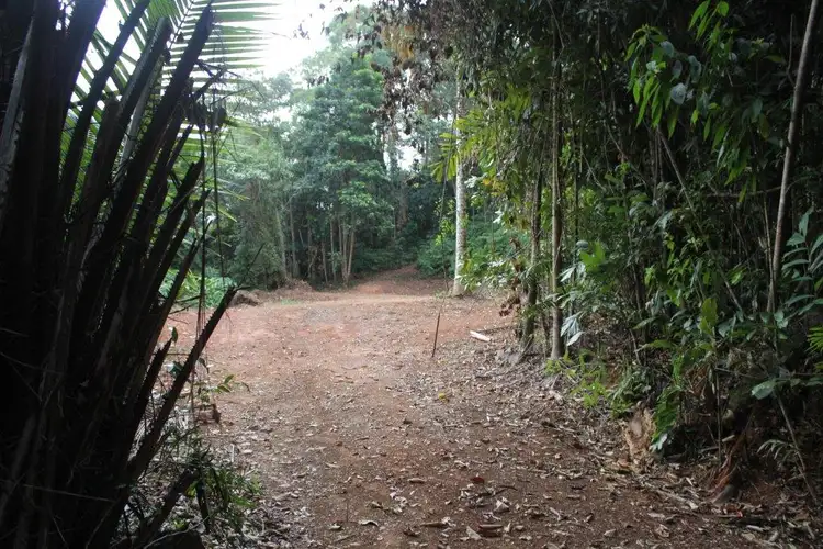 Second view of Homely land listing, 478 Black Bean Road COW BAY, Daintree QLD 4873