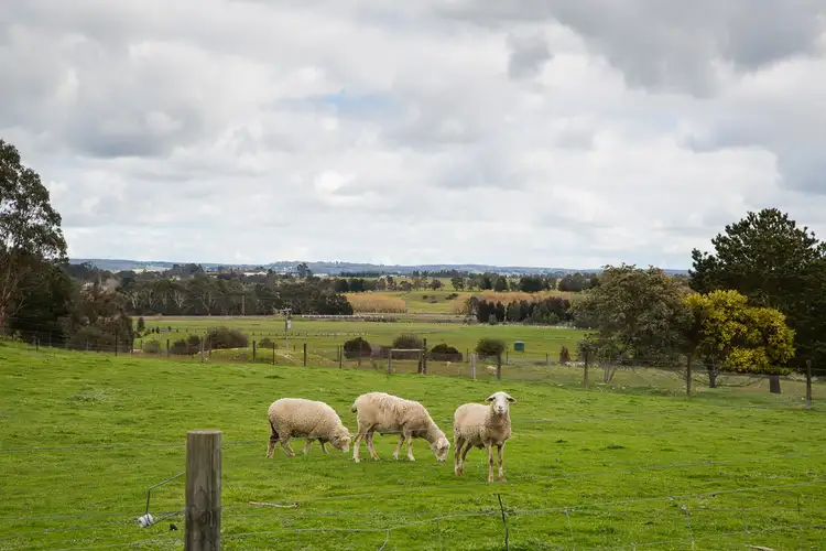 Fourth view of Homely house listing, 243 Aubreys Road, Magpie VIC 3352