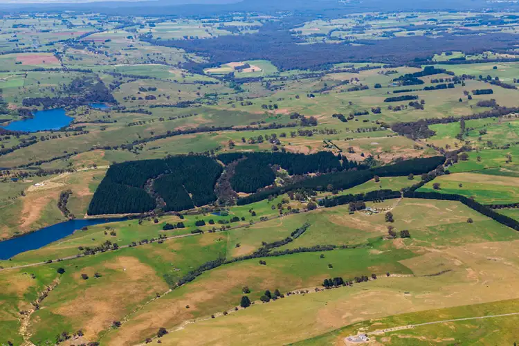 Fifth view of Homely rural property listing, Address available on request