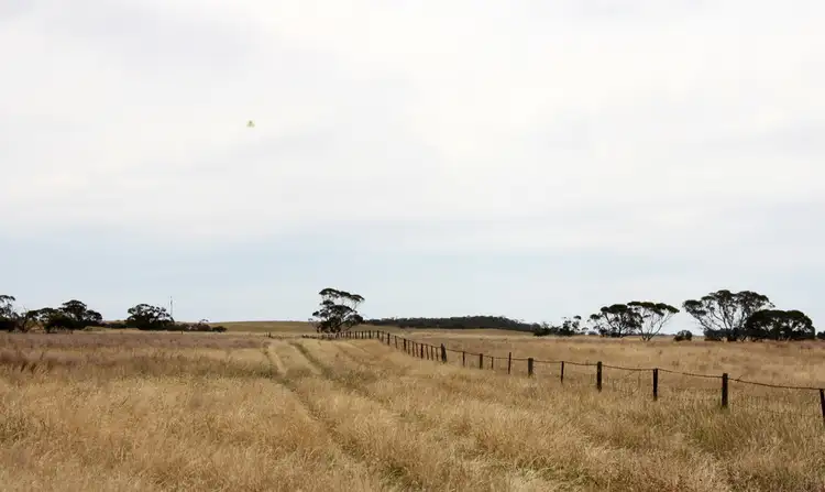 Fourth view of Homely house listing, 398 Martins Road, Halidon SA 5309