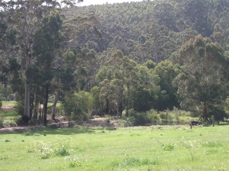 Fifth view of Homely rural property listing, 356 Angels Road, Manjimup WA 6258