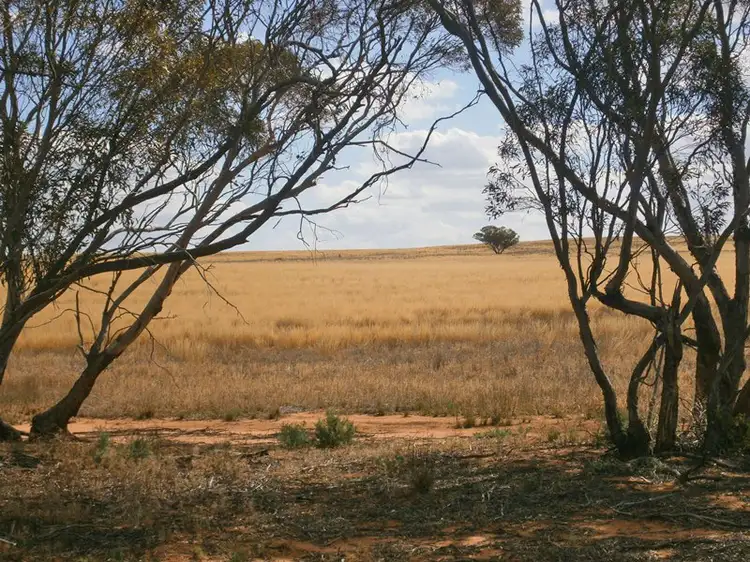 Section 220 Old Church Road, Waikerie SA 5330