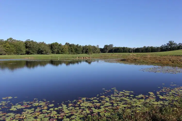 Third view of Homely house listing, 101 Bald Knob Road, Peachester QLD 4519