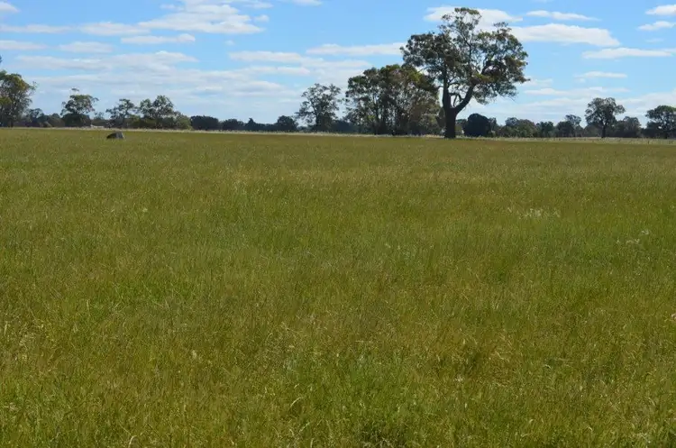 Fifth view of Homely rural property listing, 405 KOIJAK ROAD, Apsley VIC 3319