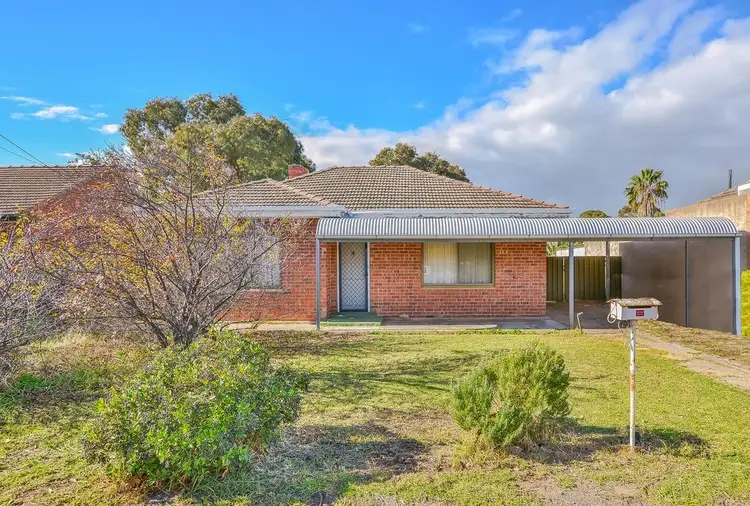 3 Baker Avenue, Morphettville SA 5043