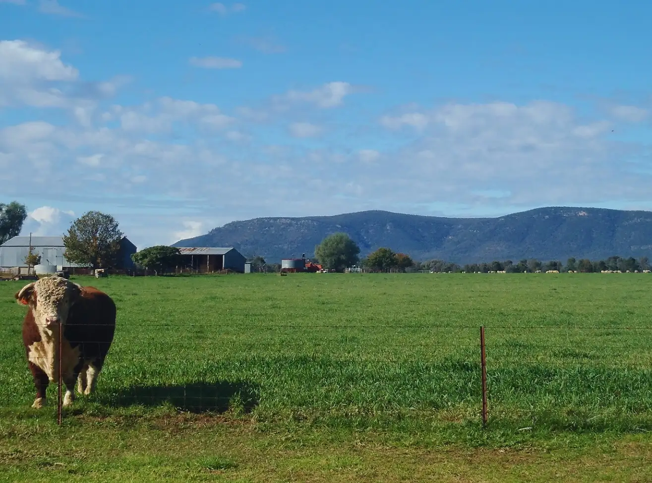 Main view of Homely rural property listing, Address available on request