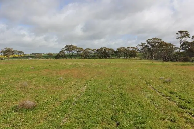 Main view of Homely house listing, Lot 50 Chandler-Merredin Road, Merredin WA 6415