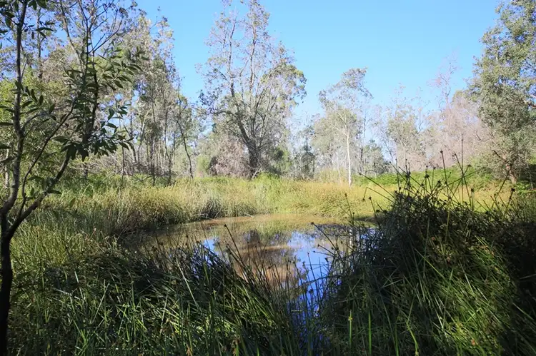 Fifth view of Homely rural property listing, Lot 129 Kangaroo Creek Road, Kangaroo Creek NSW 2460