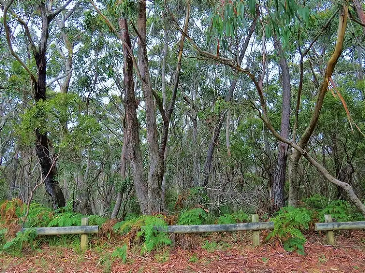 18 Nellies Glen Road, Katoomba NSW 2780