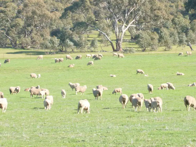 Second view of Homely rural property listing, - 'Wirrawilla', Jamestown SA 5491
