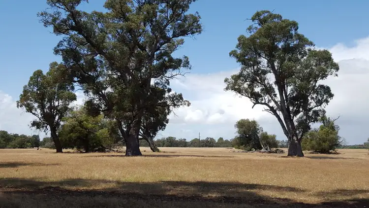 Main view of Homely rural property listing, 114 Stirling Road, Capel WA 6271