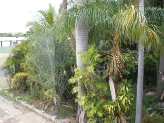 Sixth view of Homely house listing, 11 Taurus Street, Blackwater QLD 4717