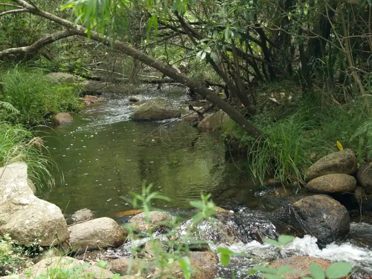 Main view of Homely rural property listing, Lot 100 Snowy Mtns Hwy, Bemboka NSW 2550
