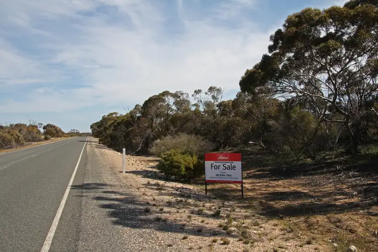 Second view of Homely rural property listing, Section 13 Hundred of Billiatt, Alawoona SA 5311