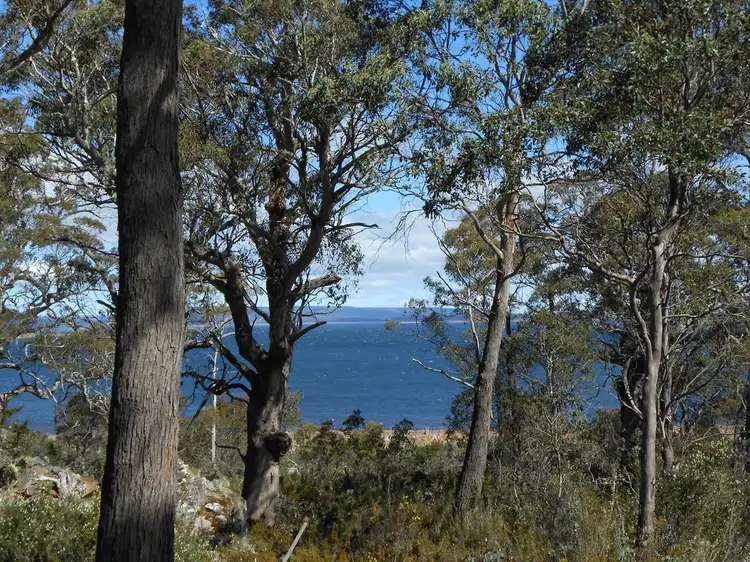Second view of Homely other listing, 56 Rainbow Road, Breona TAS 7304