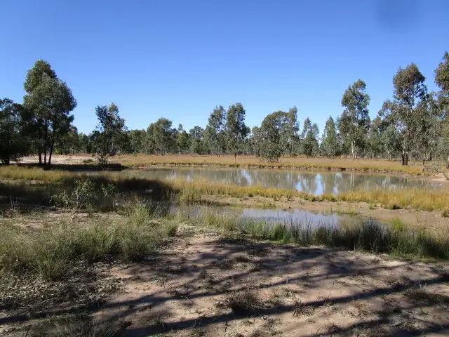 Second view of Homely rural property listing, 206 WEITZELS ROAD, Tara QLD 4421
