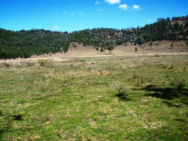 Second view of Homely rural property listing, 2381 Bedwell Downs Rd, Yetman NSW 2410