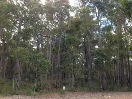Second view of Homely land listing, 3 (Lot 147) Mulberry Mews, Cowaramup WA 6284