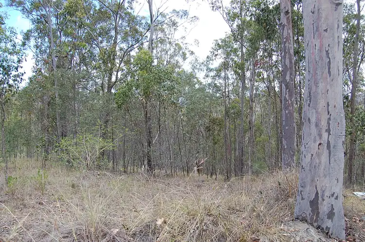 Second view of Homely rural property listing, Lot 70 Fairfield Road, Drake NSW 2469