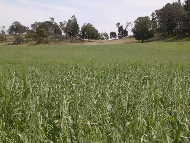 Seventh view of Homely rural property listing, Address available on request