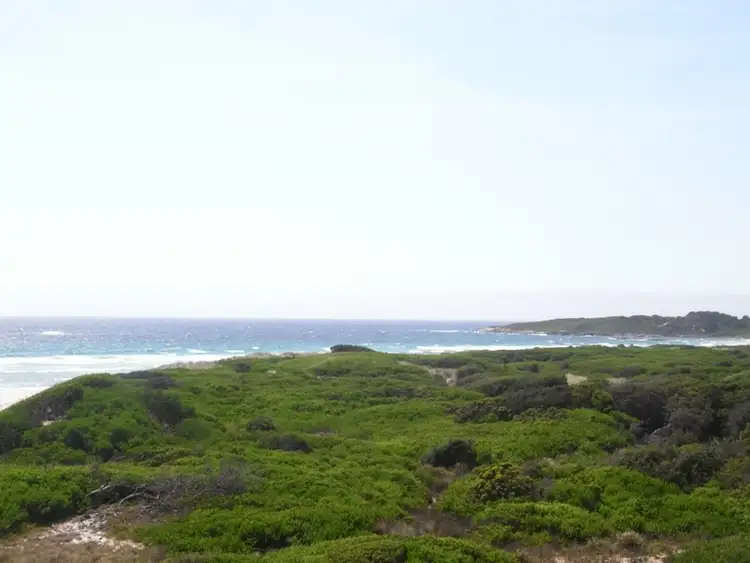 Seventh view of Homely rural property listing, Lots 2 & 5 Macquarie Street, Seymour TAS 7215