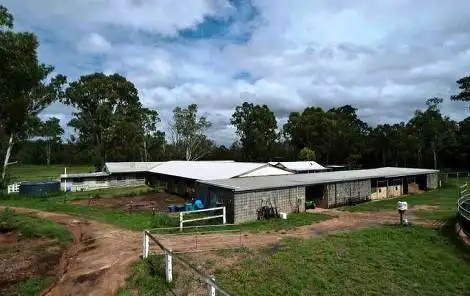 Second view of Homely house listing, 172 Pine Mountain Quarry Road, Pine Mountain QLD 4306