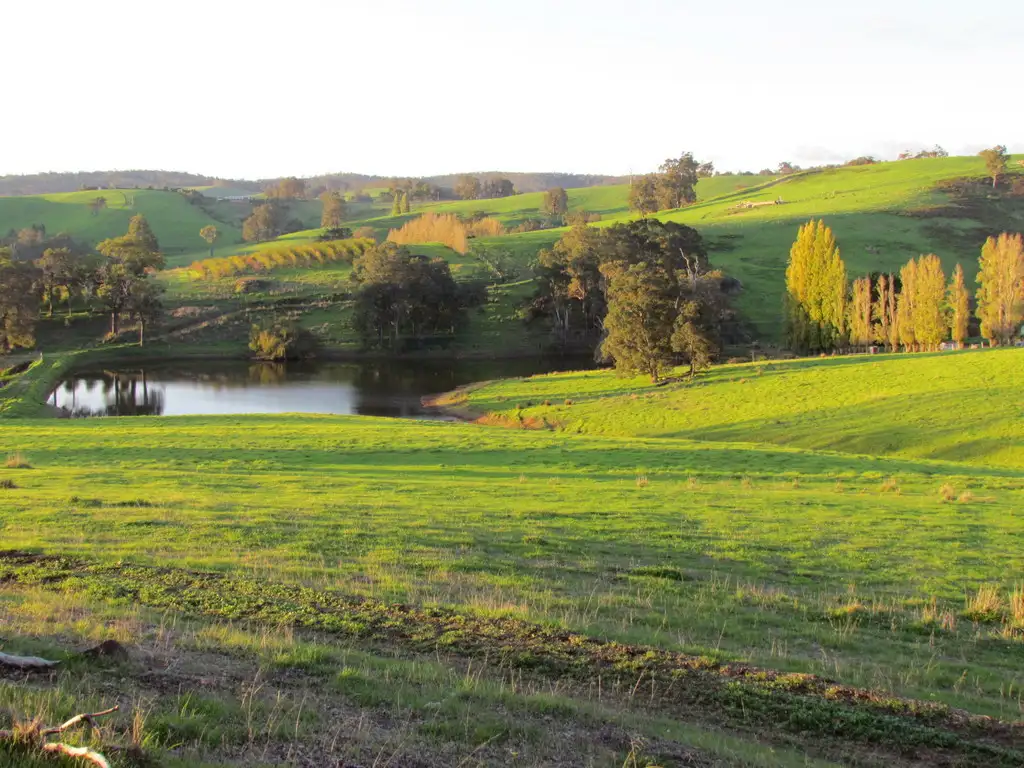 Main view of Homely rural property listing, Address available on request