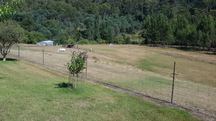 Fourth view of Homely rural property listing, 462 Plenty Valley Road, Glenfern TAS 7140