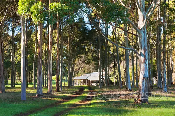 Second view of Homely rural property listing, 264 (Lot 28) Redgate Road, Witchcliffe, Margaret River WA 6285