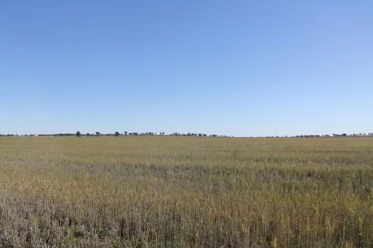 Fifth view of Homely rural property listing, - Tallabung, Forbes NSW 2871