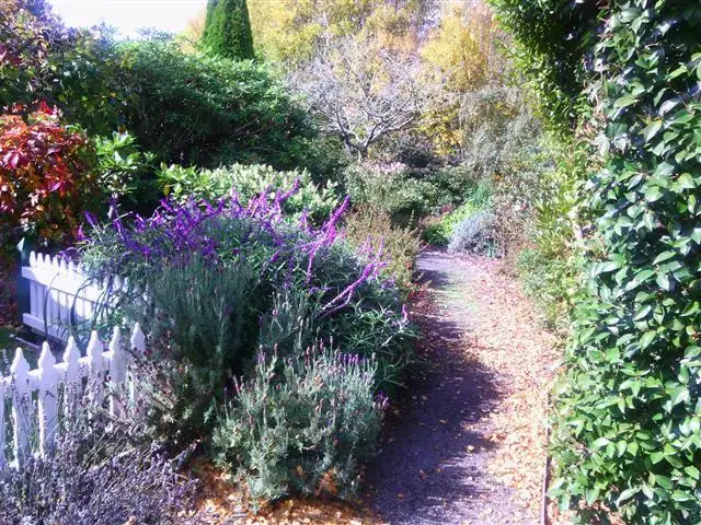 Seventh view of Homely studio listing, 4 Metaira Road, Ridgley TAS 7321